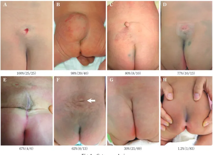 Fig.  1 Cutaneous lesions