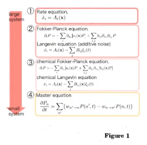 Figure 1 は ミクロレベル の分子数変化の時間発展を記述できる。そのため、このマスター方程式を考え れば分子の数が少ないよ.うな一般的な状況においての化学反応を完壁に記述できる。しかしマス ター方程式は多くの場合、解くことが困難であり、扱いが難しい。そこで、より扱いやすい近似 方程式 ②,③がしばしば使われる。ここで両者の違いは B_{ij} (bij) に x 依存性があるかないかであ る。一般的な化学反応系におけるこれらの式の導出は文献 [3, 4, 5] にゆずるとして、ここでは先 ほどの