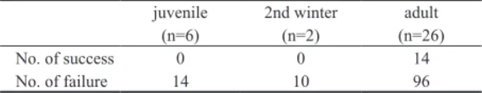 Table 1. The numbers of natural fish foraging success and failure of      Black-headed Gulls in three age classes