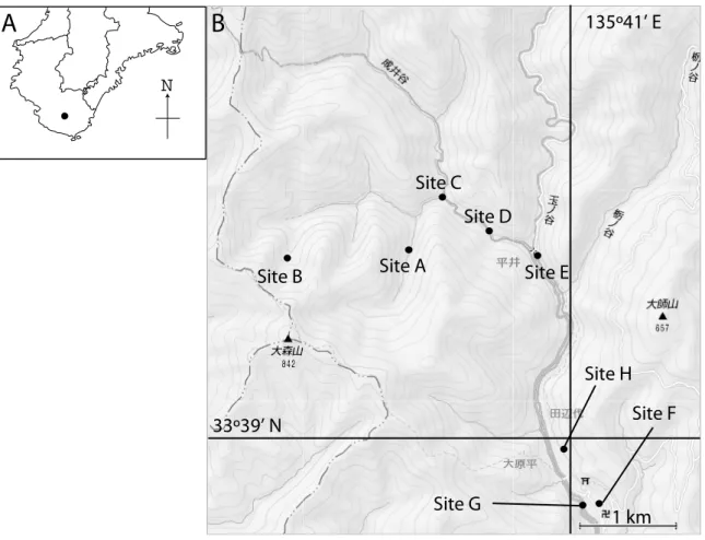 Figure 1. A: Map of Kii Peninsula. The filled circle shows the location of our research area