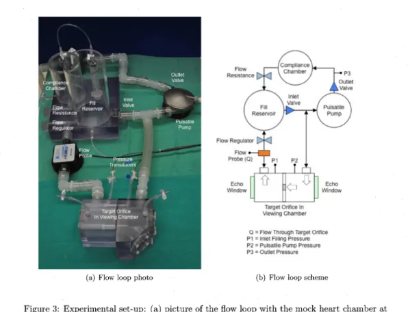 Figure 3: Experimental set‐up: (a) picture of the flow loop with the mock heart chamber at the bottom of the picture and (b) its schematic representation.