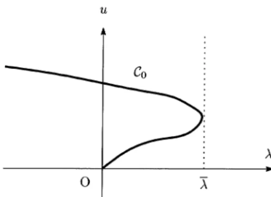 FIGURE 5. A unbounded subcontinuum of positive solutions of (P_{ $\lambda$}) when