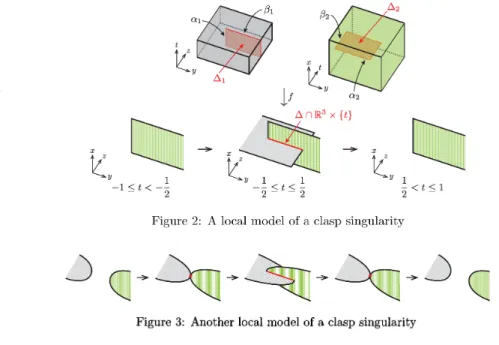 Figure 3: Another local model of a clasp singularity