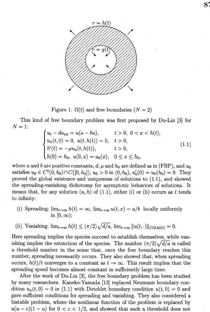 Figure 1. $\Omega(t)$ and free boundaries $(N=2)$