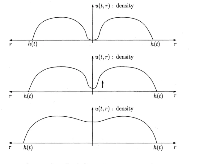 Figure 2. A profile of solution that generates singularity The following theorem shows the generation of singularity.