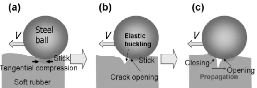Figure 1. Schallamach 波． (a) やわらかいゴムに球を押し付け，左側に動かしたところ，
