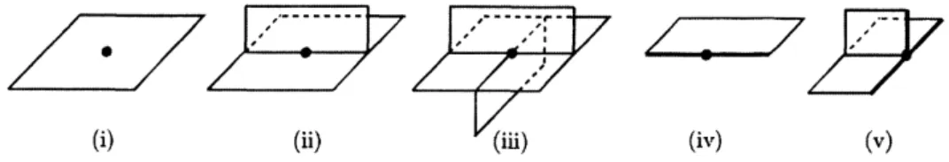 FIGURE 1. The local models of an almost-special polyhedron.