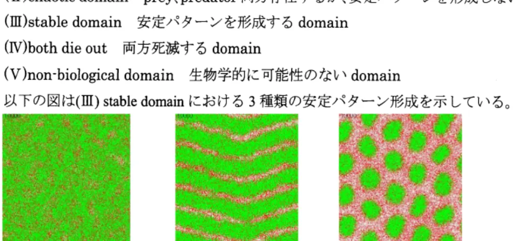 図 1 3 種の安定パターンの代表例 左図 : 準安定 (ma) 、中図 :縞模様 (mb)、右図 : 斑点模様 (mc) 。