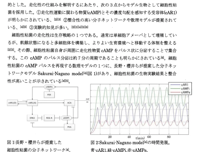 図 1: 長野櫻井らが提案した 図 2:Sakurai $\cdot$ Nagano mode1[4] の時間発展。