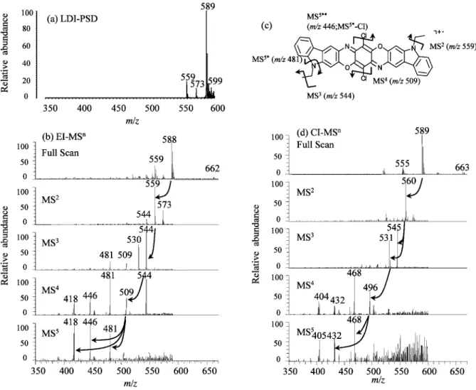 Fig.  3  PSD and MS n  positive ion spectra of 6 ; (a) LDI-PSD at m/z 589, (b) EI-MS 5  at m/z 588, (c) the fragmenta­ tion scheme of 6 with EI-MS n , and (d) CI-MS 5  at m/z 589 
