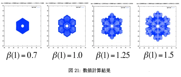 図 21: 数値計算結果 $\beta(1)$ の値を変えて温度は一定 $(-15^{o}C$ 付近 $)$ として，ダイヤグラムを作成すると次のよう な結果になる． 図 22: 数値計算結果 この結果をみると， $\beta(1)$ の値が大きくなると結晶の大きさが大きくなっており，また枝 の数も多くなっている事がわかる．このことから， $\beta(\chi_{j})$ は過飽稲度の効果をとらえること ができているのではないかと考えられる．また，数値誹算において critical length は意味