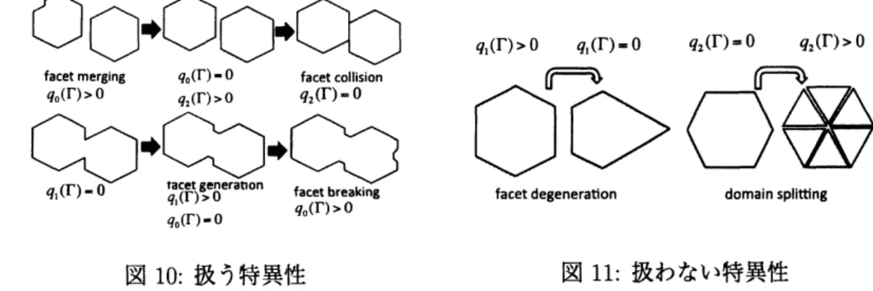 図 11 は本研究では扱わない特異性とする． facet degeneration は今回扱う結晶成長モデル では起こらないものとし， domain splitting は結晶成長の解としては許さない現象とする．