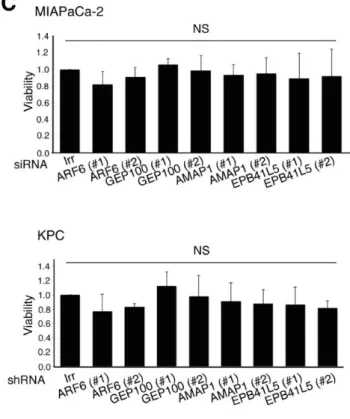 図 4    各 siRNA および shRNA の RNA 干渉効果と細胞増殖に及ぼす影響