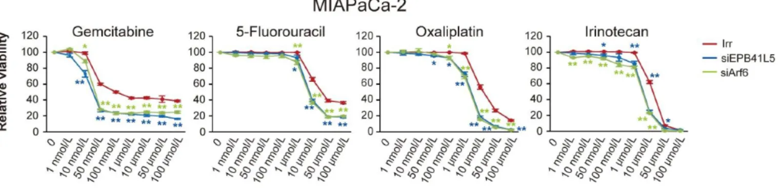 図 6 RNA 干渉が化学療法剤の効果に及ぼす影響 