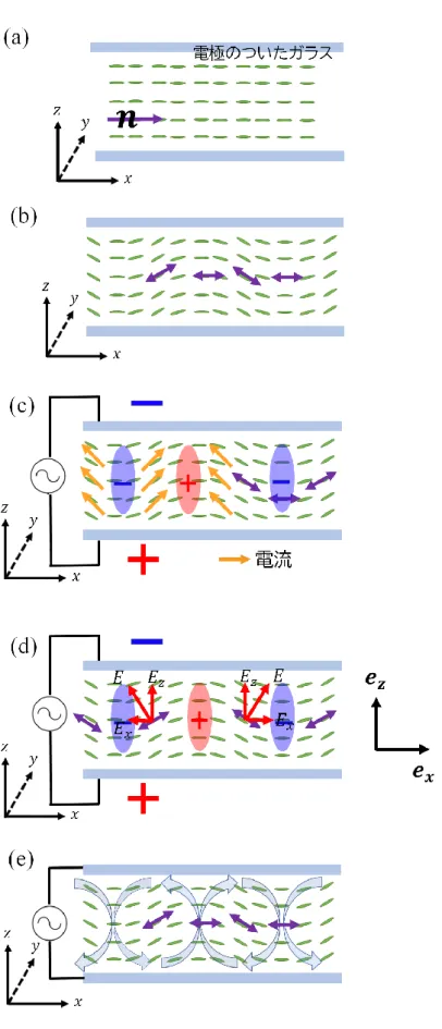 Fig. 2.31.  液晶電気対流のメカニズム． 