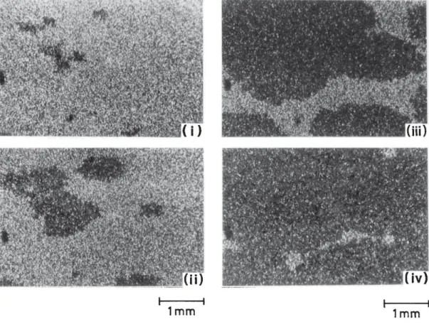 Fig.  2.33.  MBBA を用いた液晶乱流の典型的な画像 [25] ．