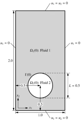Figure 4.1: Initial state and boundary conditions