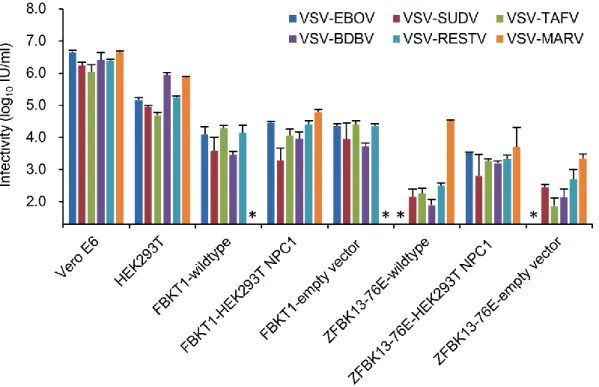 Figure 3. Susceptibility of cell lines to VSVs pseudotyped with filovirus GPs   