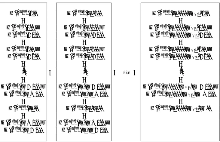 図 7: 2–bridge diagram の HOMFLY-PT polynomial の計算