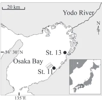 Fig. 1.  Locations of the sampling stations in the Osaka Bay (●).