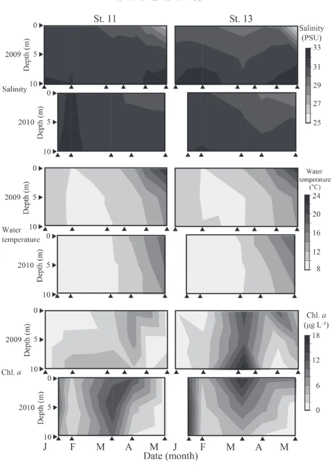 Fig. 4.  Seasonal and vertical changes in the water temperature (°C), salinity (PSU), and Chlorophyll a concentration (µg L - 1