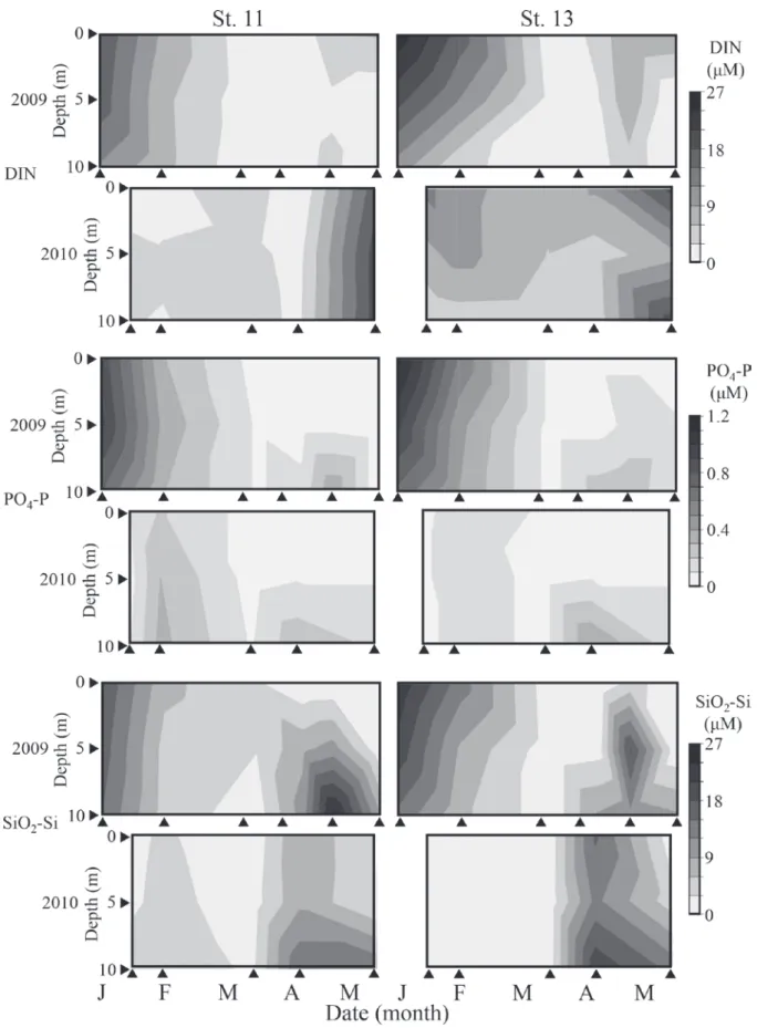 Fig. 5.  Seasonal and vertical changes in the dissolved inorganic nitrogen concentration (DIN ; µM), phosphate concentration (µM),  and silicate concentration (µM) from 0 to 10 m at Sts