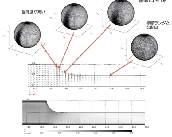図 6: 配向ベクトルと配向分布 ( 上 ). 配向度分布 ( 下 )