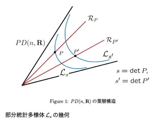 Figure 1: $PD(n, R)$ の葉層構造