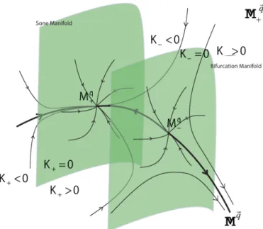 Figure 1: Two-scale dynamics on the center-stable manifold $\mathbb{M}_{+}^{\vec{q}}$ which is the center-stable manifold with macroscopic flux $\vec{q}\equiv P_{0}\xi^{1}M_{-}.$