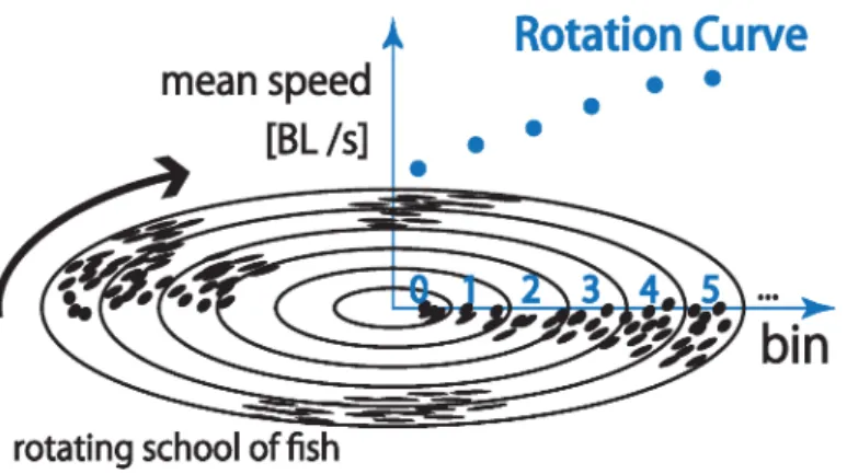 図 2 回転曲線 (Rotation Curve) の模式図．論文 [10], 33 ページ， Figure $1(c)$ より転載 などの光学機器を用いたマイワシの群れ観測手法の改善について展望を述べる． 2 オプティカルフローを用いた回転曲線の計測手法 本章では，オプティカルフローを用いた回転曲線の計測手法について概説する．なお本 手法の詳細については [10] を参照されたい． マイワシの群れの回転曲線を計測するためには，魚群の領域を図 2 に示すように分割し， それぞれの領域に含まれる魚の速さを求め