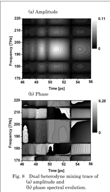Fig. 9  Dual-heterodyne mixing traces of  expanded amplitude evolution  with a locus of the zeniths in  spectral sections