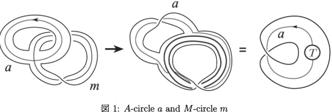 図 1: A-circle $a$ and $M$ -circle $m$