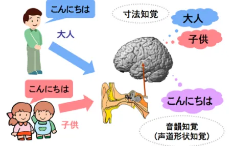Fig. 1. Size and Shape perception from sound source. のフィルバンクよりも推定精度が良いことがわかった．ここでは，聴覚フィルタバンクの 非線形性についても述べ [17-21, 23], 線形のウェーブレット的性質から拡張するための理 論構築の出発点を提供したい． 2