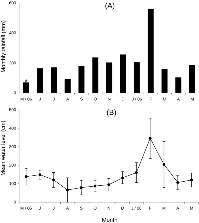 Fig. 4  Monthly rainfall (A) and the average river level with standard deviation in each month (B)