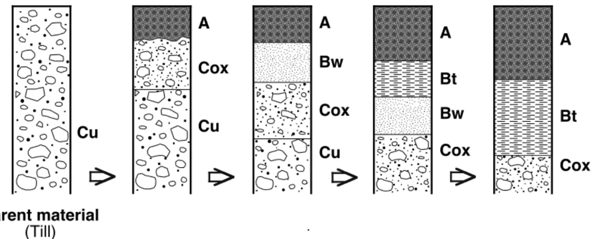 Figure 3.3      Soil orders arranged into a development scheme on glacial landforms, with  age to the right