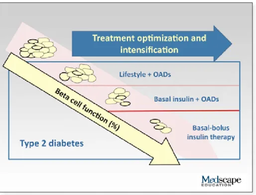 図 6. T2DM治療の最適化および強化に相関して低下するベータ細胞機能。 Image courtesy of ジテン・ヴォーラ、医師、FRCP。 治療は最初夜間の肝糖をコントロールすることを目指す。これは経口抗糖尿病薬計画に長時間作用基礎インスリンアナ ログの単回投与を加えることを含む（図 7）。目的は摂食に伴う日中のグルコース変動を経口薬でコントロールするこ とである。投与のタイミングは患者の糖プロフィールおよび全体的な日程次第である。インスリンの用量は患者による 漸増が可能であり、目標が近づくにつれ用