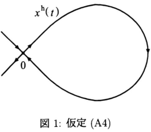 図 1: 仮定 (A4) れ，カオス現象が調べられている．周期的な場合に対しては文献 [4, 11, 13], 準周期的な 場合に対しては文献 [16, 17], 一般的な非周期的な場合に対しては文献 [8, 15] を参照せよ． 各々の場合において，Melnikov 関数あるいは積分と呼ばれる積分を計算することによっ て，カオス軌道の存在する条件が求められている．さらに，類似のアプローチにより，特 別な有界および非有界の不規則な摂動を受ける 2 次元系が，それぞれ，文献 [8] および [9]