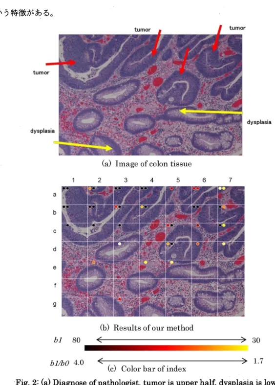 Fig. 2: $\langle a\rangle$