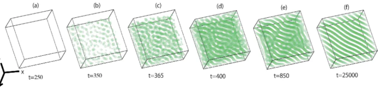 図 6: 式 (1) (2), (6) で Neumann 境界条件を課した系でのパターン形成の様子． $\phi_{\max}=1.40$ から $\phi_{\min}=1.30$ にして 0.1 の空間勾配をつけたときに形成される空間パターン． $u=2.O$ の等高面を表す． 5 まとめと考察 LE モデルを用いてパラメータに空間勾配を導入したモデルによる 3 次元パターンの解析を行った．図 3 や図 5 のように，文献 [2] で見られたような化学物質の濃度勾配の方向と垂直な方向にそろったパターン