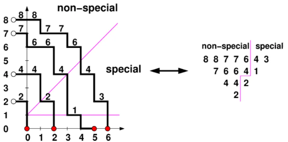 Figure 2: Non-intersecting lattice path configuration for a sample DPP of order $n\geq 8$ 