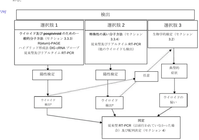 図 1. Potato spindle tuber viroid の検出及び同定のための最低要件 