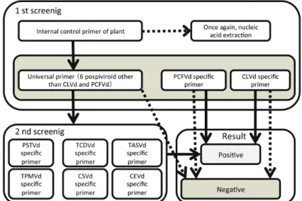 Fig.  4.    Detection  of  a  non-infectious  positive  control RNA of  PSTVd by PSTVd specific primer 1:  PST Vd-F,  2:  PST Vd-M,  3:  PST Vd-S,  4:  PSTVd-D,  5:  a  non-infectious  positive  control  RNA of PSTVd, 6: healthy tomato leaf, 7: D.W.,  M: 1