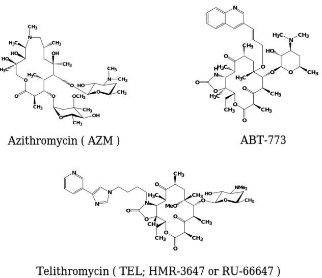 Fig. 5.  New macrolide and ketolide representatives for MAC