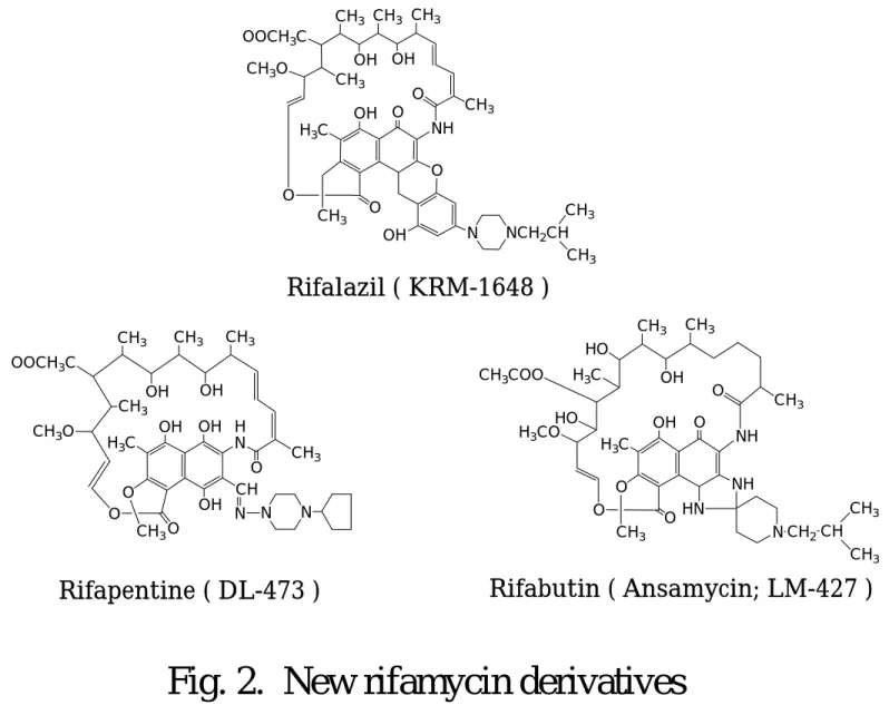 Fig. 2.  New rifamycin derivatives