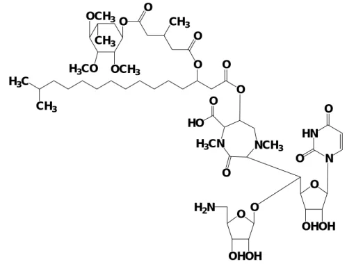 Fig. 3.  Novel antibiotic caprazamycin-B (CPZ-B)