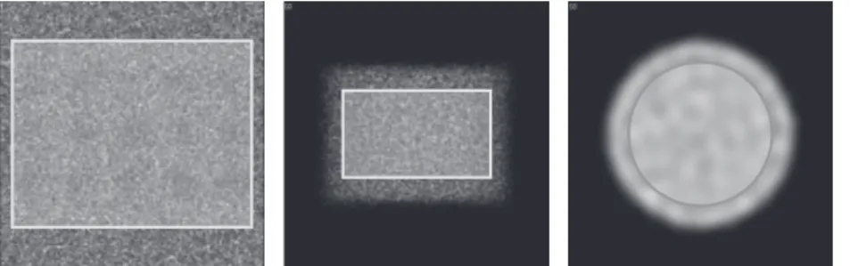 Fig. 4 Regions of interest (ROIs) setting for evaluation of uniformity. (a) Planar, (b) projection, (c) SPECT images