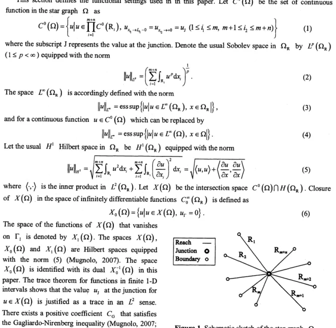 Figure 1. Schematic sketch ofthe star graph $\Omega.$