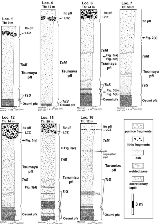 Fig. 2. Representative columnar sections of the Tsumaya and Tarumizu pyroclastic flow deposits