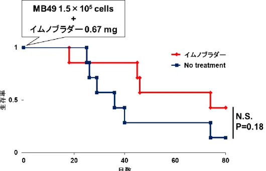 Figure 1-6 BCG 生菌（イムノブラダー）による膀胱がん同所移植モデル評価  n=7 N.S. : not significant  Kaplan-Meier Method   
