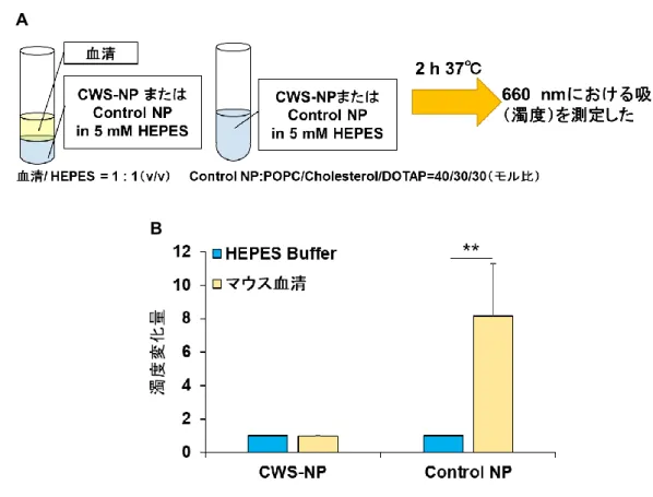 Figure 2-2 CWS-NP のマウス血清中での濁度変化。 （A）実験手順の概要（B） CWS-NP および Control NP の血清中、HEPES 中の濁度比較。CWS-NP を分散させた 5  mM  HEPES  pH  7.4 とマウス血清を体積比 1：1 で混合し 2 時間 37℃インキュベートした。波長 660 nm における CWS-NP 分散による吸光度の変化 を濁度とし、血清中の濁度÷HEPES 中の濁度＝濁度変化として算出した。凝集を示すポジティブコント ロールとして Cont